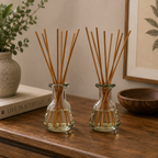 Adira Glass Bottle Diffuser Set (Mandarin & Apple Cinnamon)