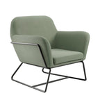 HO+ME Charles Armchair In Sage Velvet And Matte Black