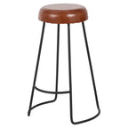 Pacific Lifestyle Mikkel Vintage Brown Leather and Black Metal Bar Stool