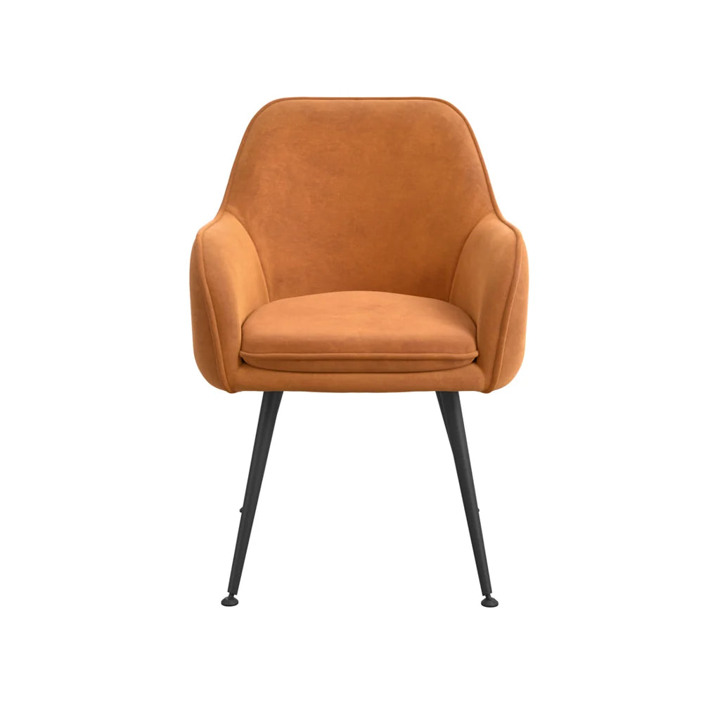 HO+ME Tara Dining Set of Two Velvet Dining Chairs