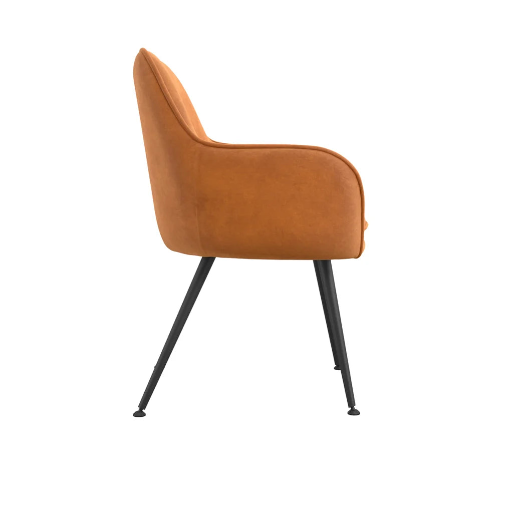 HO+ME Tara Dining Set of Two Velvet Dining Chairs