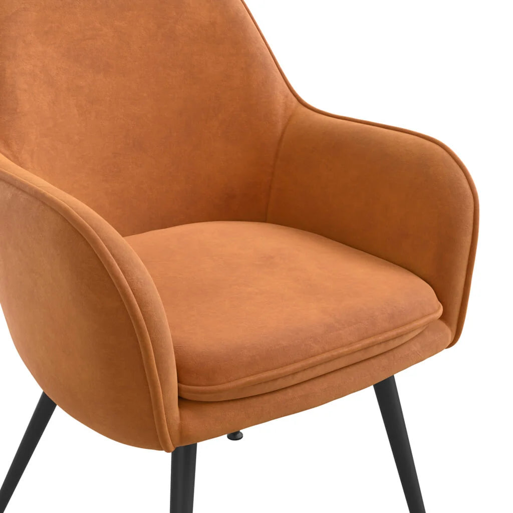 HO+ME Tara Dining Set of Two Velvet Dining Chairs