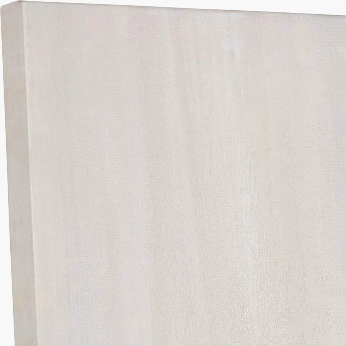 Pacific Lifestyle White and Gold Abstract Frameless Canvas