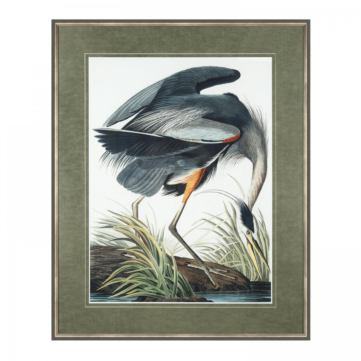 Vintage Blue Heron Framed Print By Art Marketing